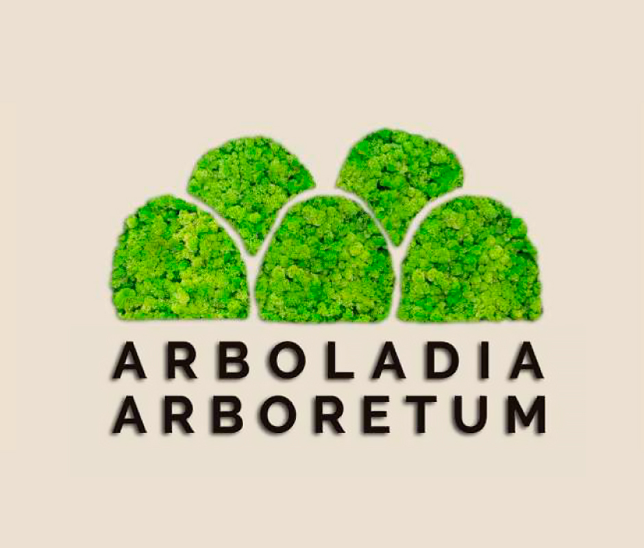 lalocadelbranding-arboretum-01