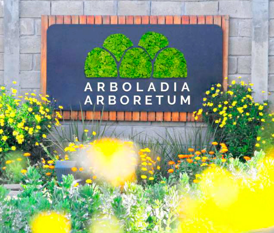 lalocadelbranding-arboretum-02